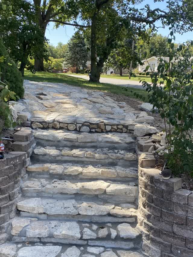 Flagstone steps under the trees